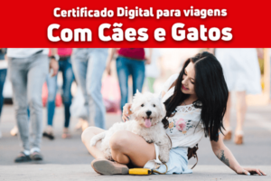 Certificado para viagens com cães e gatos